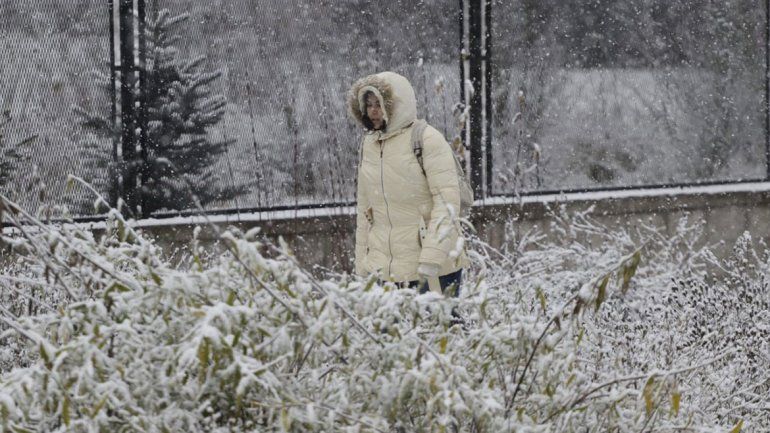Llegó la nieve y los destinos turísticos cordilleranos se ilusionan