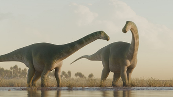 anuncian hallazgo de un dino sauropodo: a quienes se rinde homenaje con su nombre