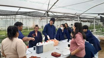 Estudiantes de la EPET 5 aprenden técnicas de hidroponia en El Puesto de Plottier, Estudiantes de la EPET 5 aprenden técnicas de hidroponia en El Puesto de Plottier,