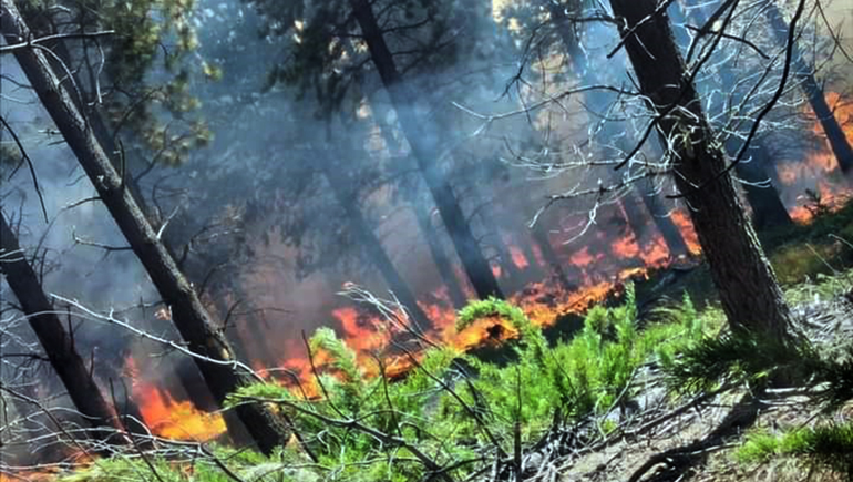 Por el incendio en Aluminé, llegaron brigadistas de Córdoba y San Luis