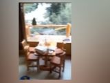 ¿Un duende en Villa Pehuenia? El sorpresivo registro de dos turistas