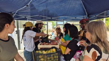vuelven las peras y manzanas a mil pesos el kilo en otra edicion del frutazo de la unco