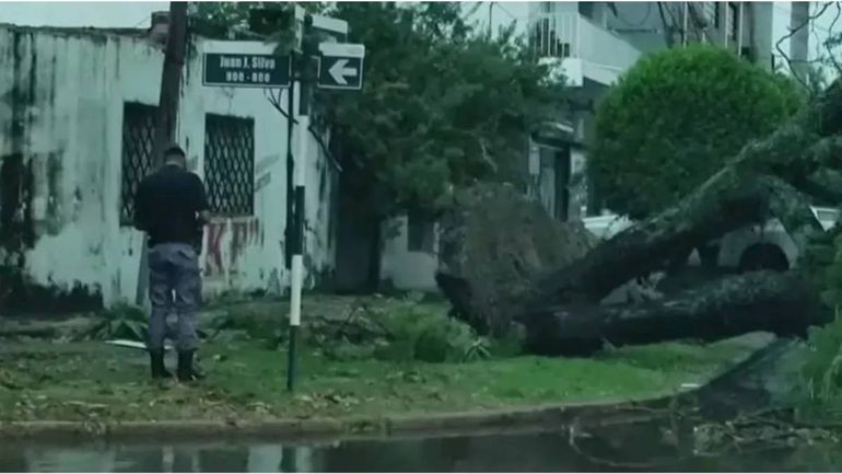 Un bebé de un año murió luego de que cayera un árbol en su casa durante el temporal en Formosa. Foto: Nuevo Diario.