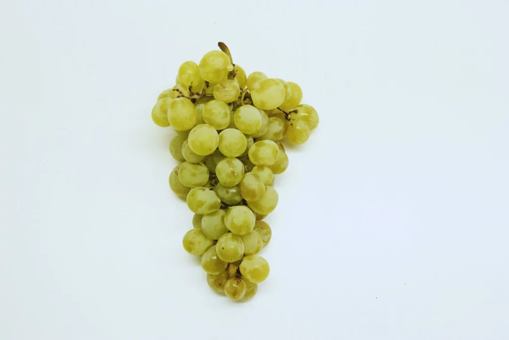 Productores y técnicos evalúan la fenología de Andina y Balsamina en parcelas CREA. Foto: INTA Productores y técnicos evalúan la fenología de Andina y Balsamina en parcelas CREA. Foto: INTA