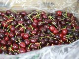 Históricamente las primeras cerezas que llegan al mercado obtienen excelente precios producto de la falta de oferta.