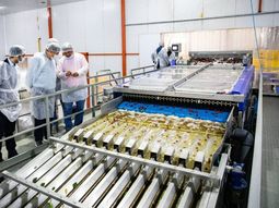 en 2 meses, fogario ya acompano a 26 pymes rionegrinas