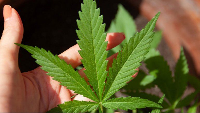 Los demoraron en la ruta, les hicieron narcotest y un acta: llevaban 4 gramos de marihuana