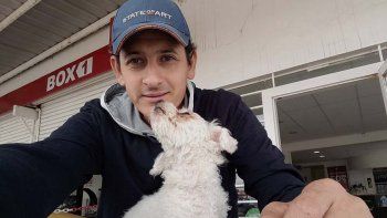 mira el emotivo video del reencuentro entre una perra que habia sido robada y su dueno mira el emotivo video del reencuentro entre una perra que habia sido robada y su dueno