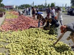Los productores reclaman elecciones en la federación. Los productores reclaman elecciones en la federación.