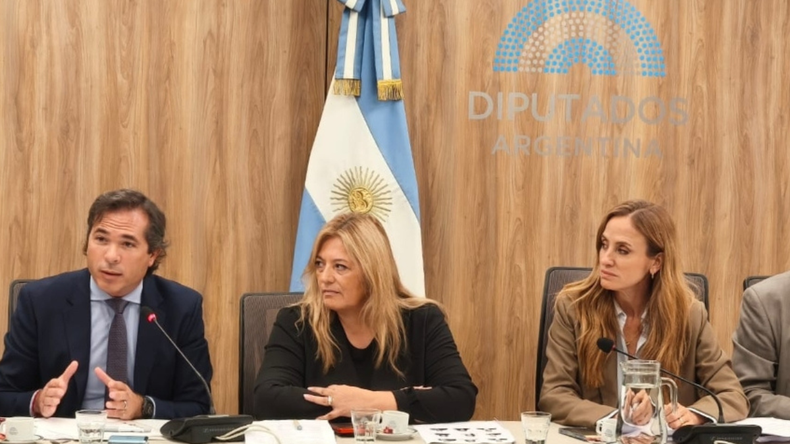 El plan para combatir el microtráfico de drogas en Neuquén fue presentado por Gerez en el Congreso de la Nación | LM Neuquen El plan para combatir el microtráfico de drogas en Neuquén fue presentado por Gerez en el Congreso de la Nación