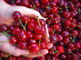 Un antioxidante reemplazaría un producto prohibido