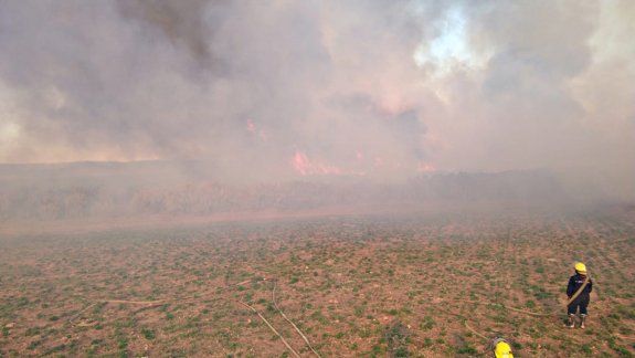 El Chañar: se quemaron 50 hectáreas en un incendio de pastizales
