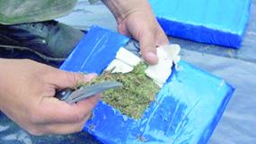 A la hora de revisar el auto, los efectivos encontraron marihuana hasta en los guardabarros. | LM Neuquen A la hora de revisar el auto, los efectivos encontraron marihuana hasta en los guardabarros.