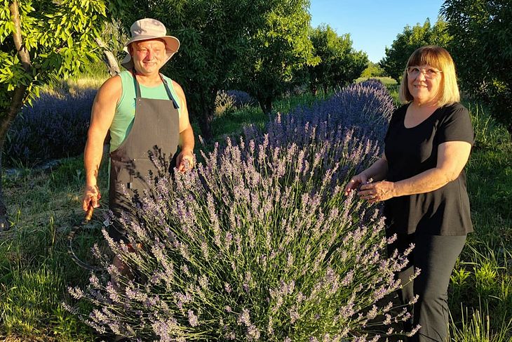 Pura naturaleza: Pura naturaleza: