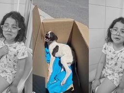 el llanto de pili que conmovio a neuquen y un video que exige decir basta al maltrato animal el llanto de pili que conmovio a neuquen y un video que exige decir basta al maltrato animal