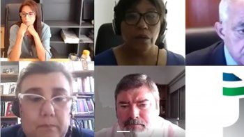 La audiencia fue en el formato virtual. 