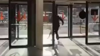 Tras la viralización del video, asociaciones protectoras de animales denunciaron hombre que lo maltrató al perro. Tras la viralización del video, asociaciones protectoras de animales denunciaron hombre que lo maltrató al perro.