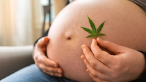 marihuana en el embarazo: como les afecta a los bebes