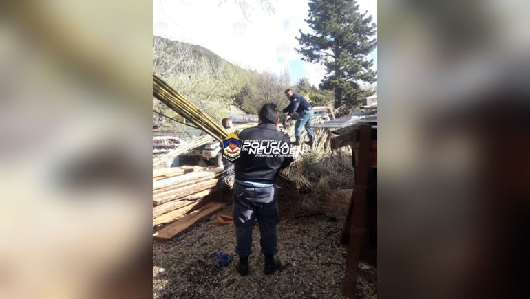 Secuestran más de 2800 cañas de colihue robadas