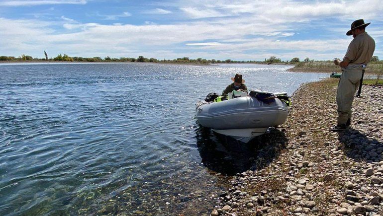 Más controles para prevenir pesca furtiva: qué hicieron con los pescados decomisados