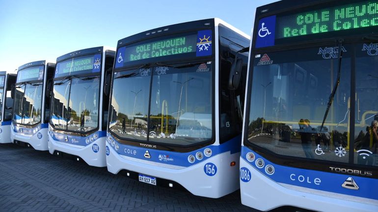 Nuevos colectivos eléctricos en Neuquén: sumarán dos líneas con recorridos para el turismo