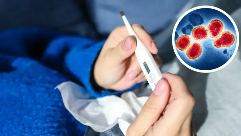 Salud confirmó la detección de tres casos de gripe K en Argentina