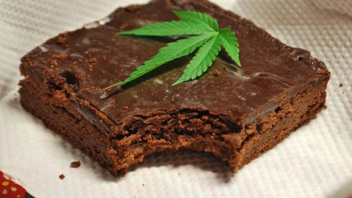 Llevó brownies con marihuana a la escuela, les convidó a sus compañeros y  se intoxicaron todos