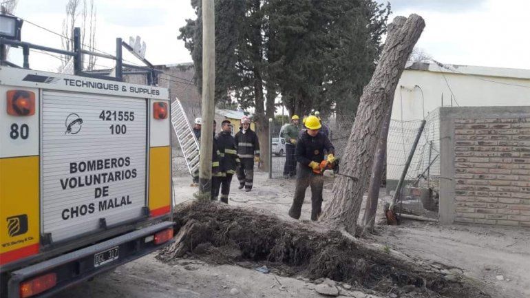 Un temporal de viento azotó al norte neuquino