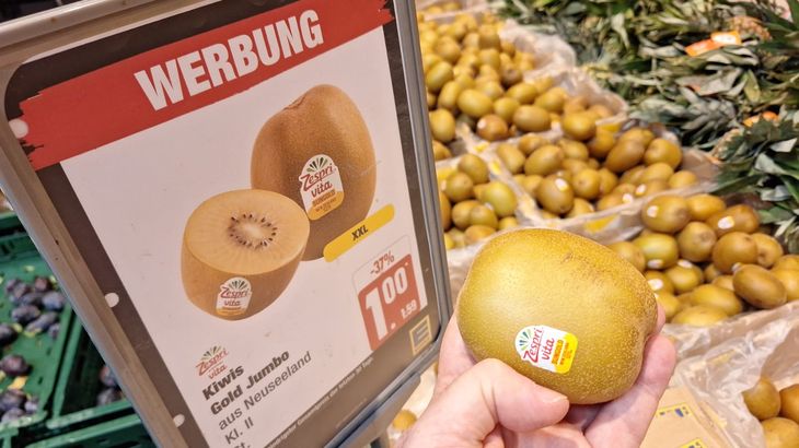 El mayor comercializador de kiwis del mundo superó los 248 millones de bandejas vendidas y reafirmó su liderazgo en la industria frutícola internacional. El mayor comercializador de kiwis del mundo superó los 248 millones de bandejas vendidas y reafirmó su liderazgo en la industria frutícola internacional.