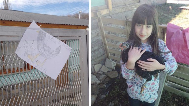 Una nena perdió a su gallina y la recuperó gracias a un dibujo