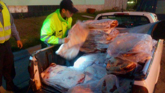 Llevaba 41 costillares en la caja de una camioneta
