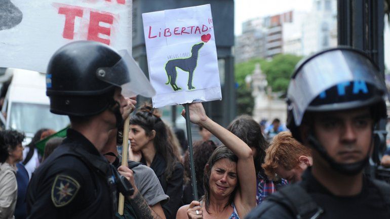 Tensión e incidentes frente al Congreso entre galgueros y proteccionistas