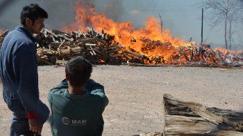 hubo alarma por un impresionante incendio en la maderera mam