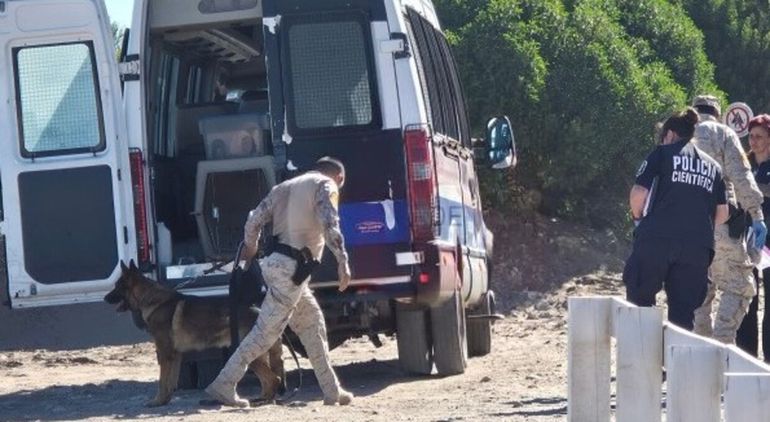 Encontraron muerta a Débora a metros del camping donde desapareció: tenía golpes y puñaladas