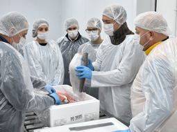 las truchas de piedra del aguila saldran al mundo desde el aeropuerto de neuquen las truchas de piedra del aguila saldran al mundo desde el aeropuerto de neuquen