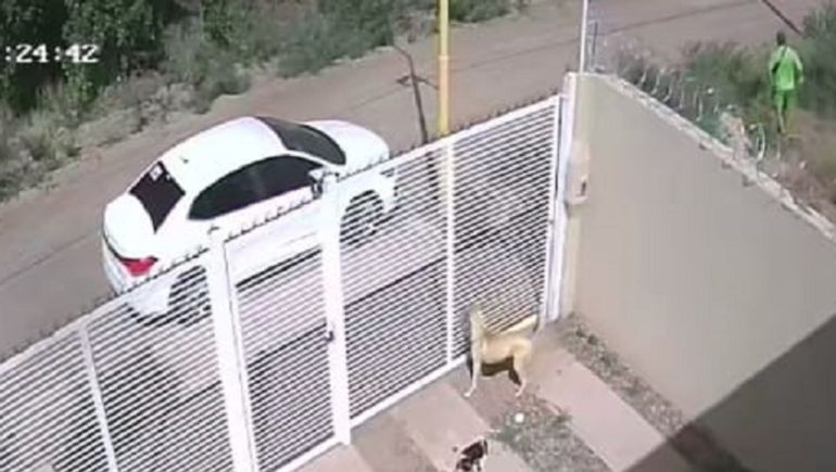 Un barrio jaqueado por los ladrones: se mudó hace 6 meses y ya le robaron dos veces