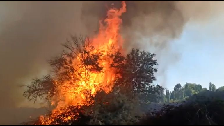 Bomberos de toda la región combatían un voraz incendio en Senillosa