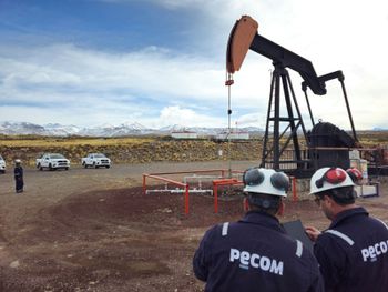 Pecom compró activos de YPF en Chubut.