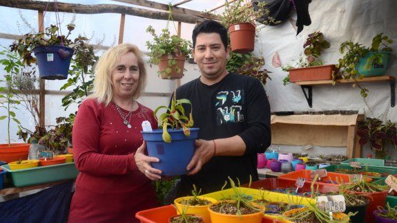 Los neuquinos que crearon un vivero de plantas carnívoras