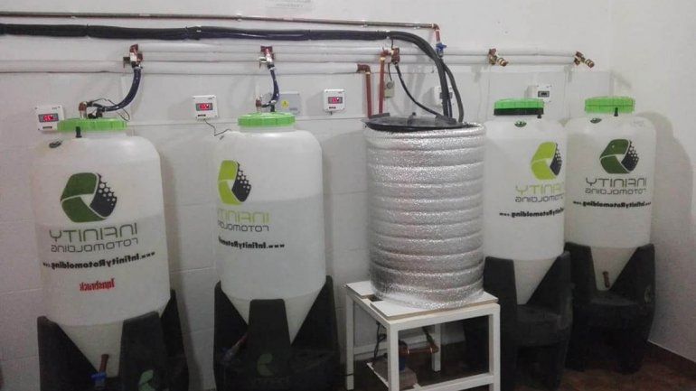 La fabricación artesanal de cerveza es un fenómeno en la región.