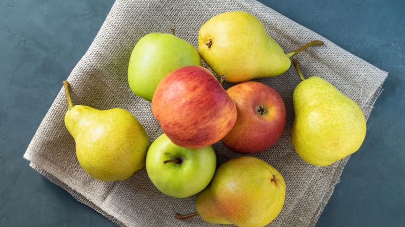 La cosecha de manzana creció en esta temporada 13%.
