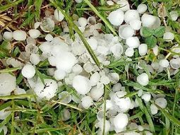 La zona más afectada por la tormenta fue la franja entre Cipolletti y Paso Córdoba, General Roca. La zona más afectada por la tormenta fue la franja entre Cipolletti y Paso Córdoba, General Roca.