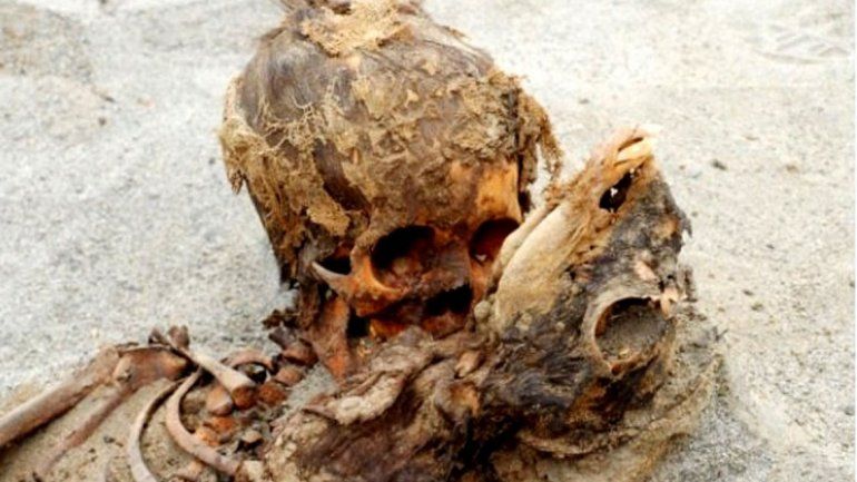 Encontraron esqueletos de niños sacrificados en Perú