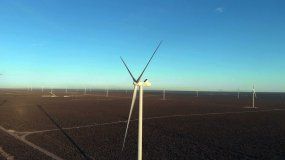 Por qué se celebra hoy el día mundial del viento