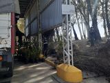 Decomisaron 354 ciruelos, 20 plantas de vid y 30 plantines de tomate. Foto: SENSASA