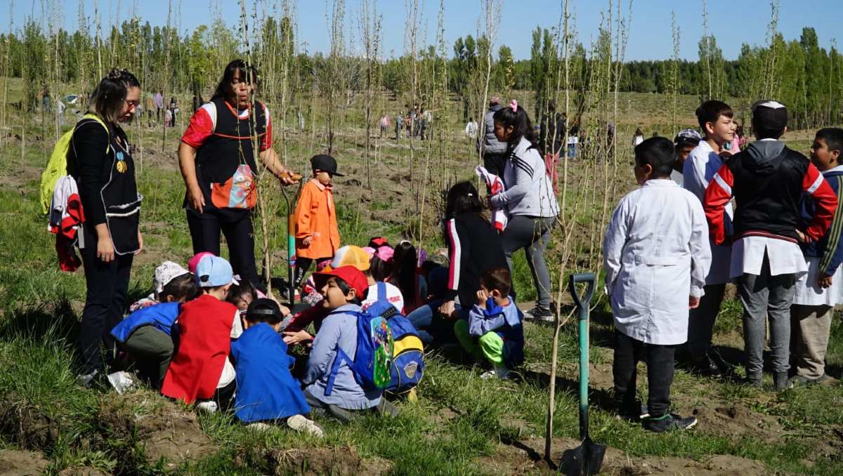 Más de 500 niños plantaron árboles en el bosque comunal de Zapala
