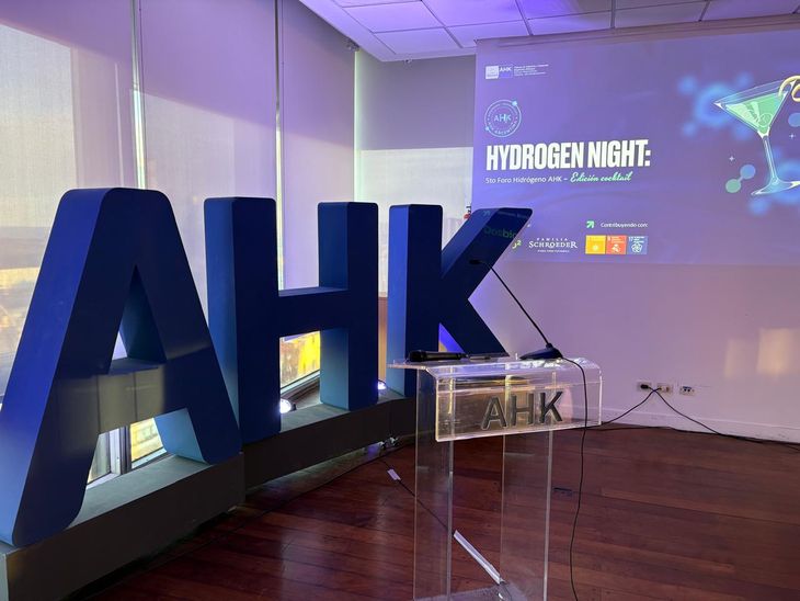 Foro de Hidrógeno: cooperación internacional y el potencial argentino en la nueva matriz energética   | Más Energía Foro de Hidrógeno: cooperación internacional y el potencial argentino en la nueva matriz energética