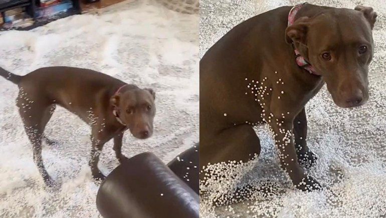 El clip no deja de sumar reproducciones en YouTube