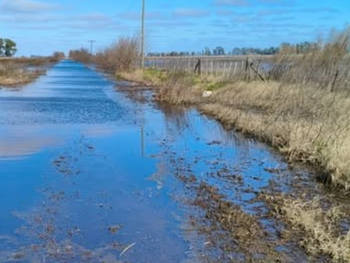 Si hay pagos anticipados, las empresas constructoras deben presentar aval bancario o seguro de caución. Foto: zonacampo.com.ar