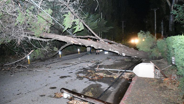 El terrible temporal de lluvia y viento provocó un sinnúmero de daños e inconvenientes en Cipolletti.&nbsp;